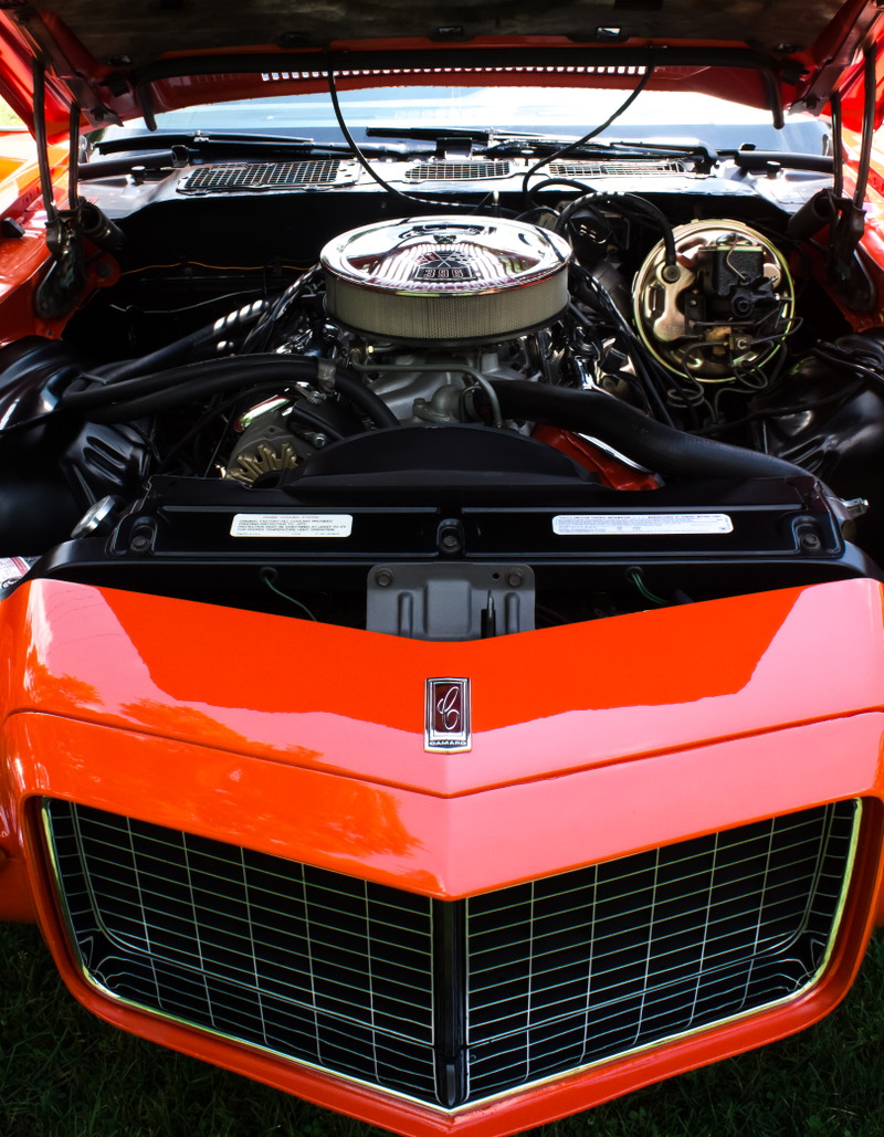 Illustration for article titled Stumbled onto a car show in my local park